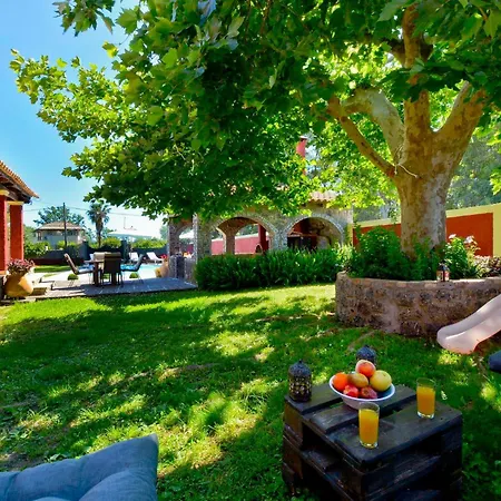 Villa Sofia Near The *